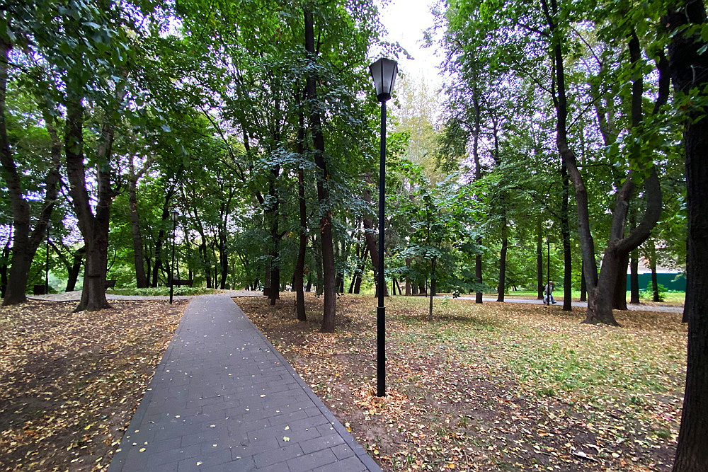 Прогулочные дорожки в парке