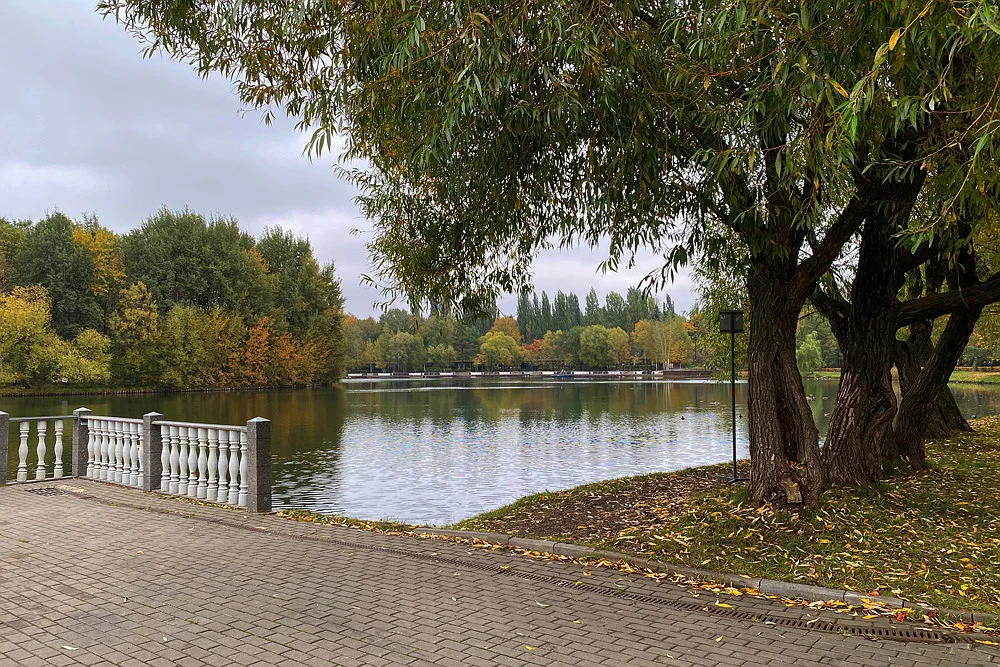 Измайловский парк в Москве